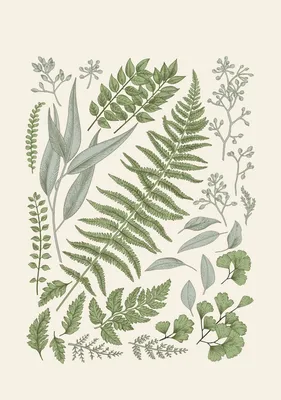 красивая цифровая картинка с изображением кипящего ботаника. генеративный  помощник Иллюстрация штока - иллюстрации насчитывающей польза, конструкция:  273934052