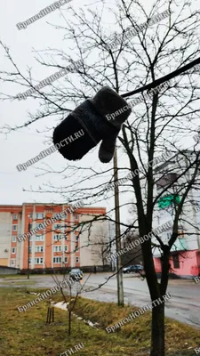 В Брянск пришла осенняя зима - Брянский ворчун