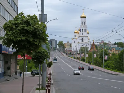 Брянск :: Россия :: приятели :: поспорили :: коронавирус :: страны /  смешные картинки и другие приколы: комиксы, гиф анимация, видео, лучший  интеллектуальный юмор.