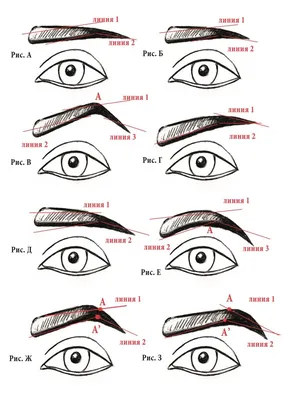 Узнайте, что может рассказать о вашем характере форма ваших бровей