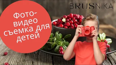 Экстракты пихты Сибирской | Сибирский продукт