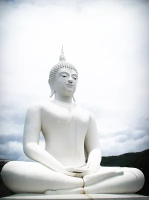 Будда Религия Медитация - Бесплатное фото на Pixabay - Pixabay