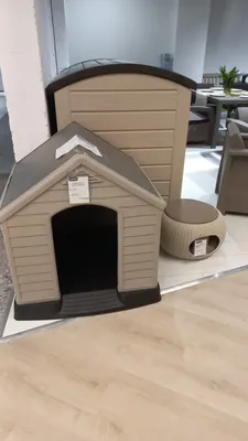 Собачья будка Keter Dog House | купить в KeterShop