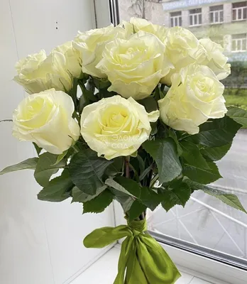 Букет из 19 белых роз 60 см купить в Краснодаре с доставкой | Vanilla