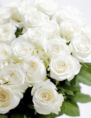 Букет 25 белых кустовых роз | купить недорого | доставка по Москве и области