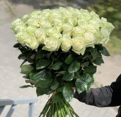 Розы : Букет № 135 из 35 белых роз (60 см.)