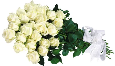 Букет белых роз \"Персей\" – купить недорого с доставкой по Москве