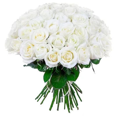 Купить букет белых роз Букет «101 БЕЛАЯ РОЗА» с доставкой в Астрахани -  «Даниэль»