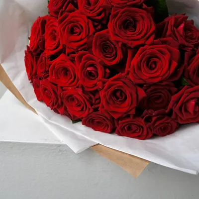 Букет красных роз: 25 цветков с оформлением недорого по цене 5685 ₽ -  купить в RoseMarkt с доставкой по Санкт-Петербургу