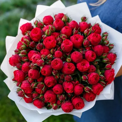 Купить Искусственный Букет Розово-Красных Роз в кашпо/горшке/Декоративная  композиция цветов для декора дома по выгодной цене в интернет-магазине  OZON.ru (630957563)