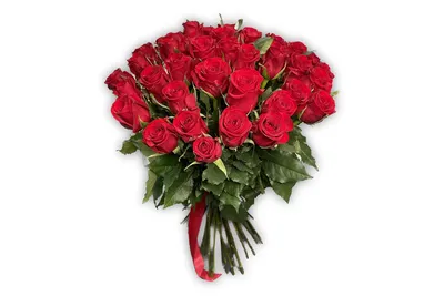 Букет из 21 красной розы \"Эксплорер\" 50 см - купить в СПБ с доставкой на дом