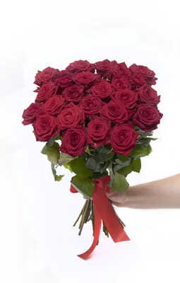 Букет из 51 бело-красной кенийской розы 40 см - Доставка цветов в Москве