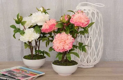 Пионы: микс из белых и розовых пионов с листьями эвкалипта по цене 12329 ₽  - купить в RoseMarkt с доставкой по Санкт-Петербургу