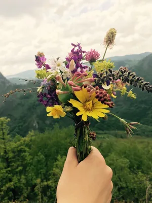 Букет полевых цветов в руках: фото в формате WebP