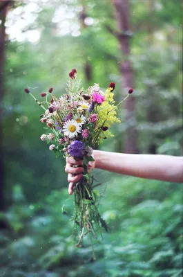 Фотография рук, держащих нежный букет полевых цветов