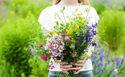Фото рук, держащих букет полевых цветов в золотой рукавице