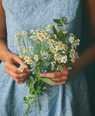 Букет полевых цветов в руках: красивая фотография на закате
