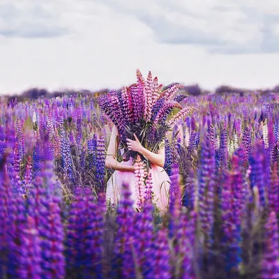 Букет полевых цветов в руках: фотография с эффектом боке