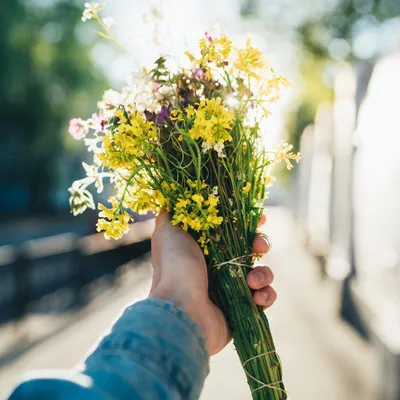 Букет полевых цветов в руках: красивое фото в формате JPG