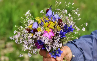 Счастливые руки держат букет полевых цветов: изображение в формате PNG