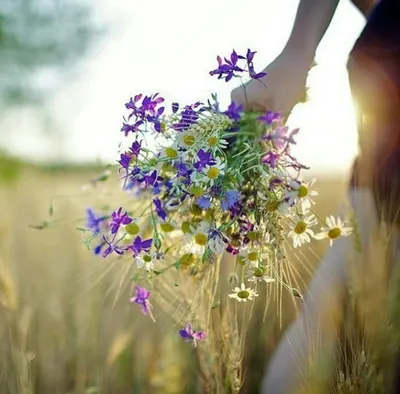 Фотка рук, держащих букет полевых цветов во время прогулки