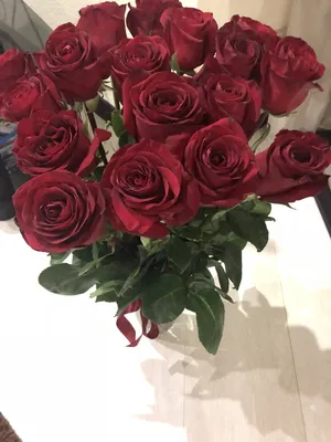 Букет из 15 белых роз в оформлении (Эквадор, 50-60 см) - Доставка цветов в  Екатеринбурге