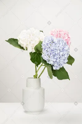 Букет цветов дома на столе - 74 фото