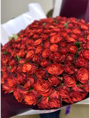 1️⃣ Букет из 7 очаровательных красных роз – заказать с доставкой в Алматы