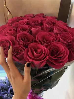 Изображение букета роз в руках: символ любви и прекрасного