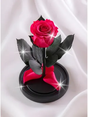 Изображение букета роз в руках: сохраните свои чувства