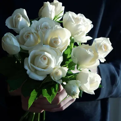 Фотография букета роз в руках: идеальный подарок