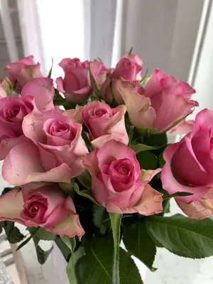 Купить Букет розовых роз с гипсофилой в Иваново с доставкой на дом -  Romantika