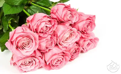 Букет из 7 розовых роз «Мандала» 50 см - купить в СПБ с доставкой на дом