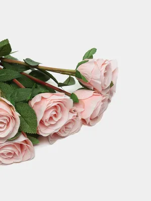 Купить красивый букет кустовых роз нежно-розовых! - Пермь. Доставка цветов