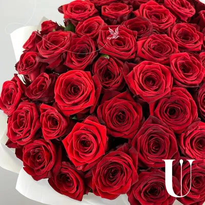 Букет цветов \"Розы\" 41 см (SF-5126) в ассортименте В Интернет-Магазине По  Оптовым Ценам