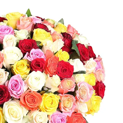 Букет из 15 роз Premium 60 см - купить в Москве по цене 2790 р - Magic  Flower