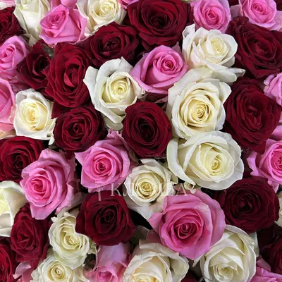 Купить Шикарный букет цветов 175 разноцветных роз Пещера | UFL