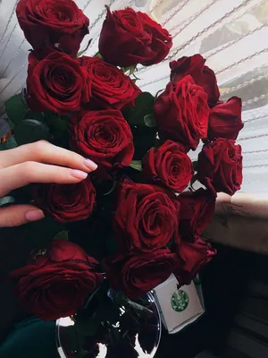 Фото букета тюльпанов в руках: красочное изображение
