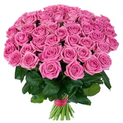 Букет из 35 красных роз - купить с доставкой по Киеву, лучшая цена на Букет  из 35 красных роз на сайте цветов с доставкой Флорен