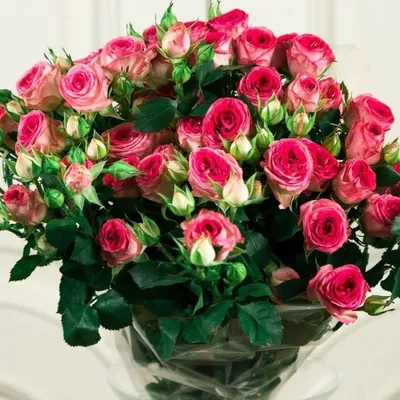 Букет белых роз в белой упаковке - купить с доставкой в Омске - LAVANDA