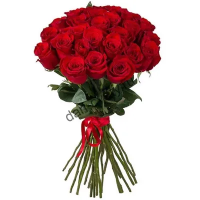 Купить Букет из 35 розовых роз Премиум (70 см) с доставкой в Омске -  магазин цветов Трава