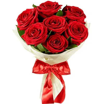 Букет роз 80 см 21 роза №378 - 🌹 Цветы Новосибирск заказ: