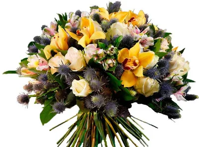 Цветы на день рождения – идеальный подарок или дополнение к нему |  \"Флориста\"