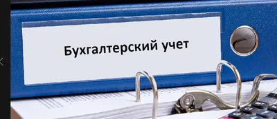 Как и кто обязан вести бухгалтерский учет в 2023 году: ИП и ООО