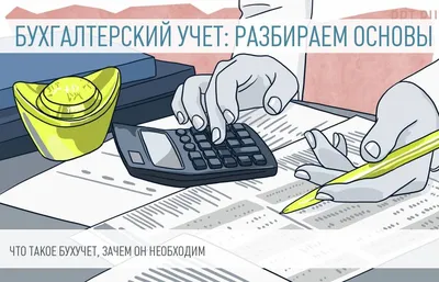 Бухгалтерский учет в образовательных учреждениях | Бухгалтерское  обслуживание организаций и предпринимателей