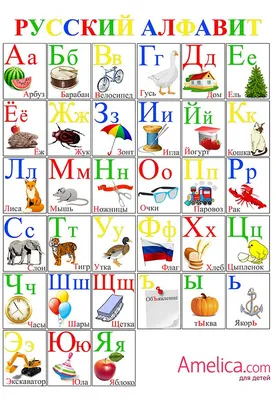 Картинки про букву В детям — учим русский алфавит
