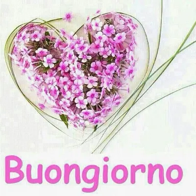 Buongiorno Principessa | Buongiorno\" Photographic Print for Sale by  KopaStore | Redbubble