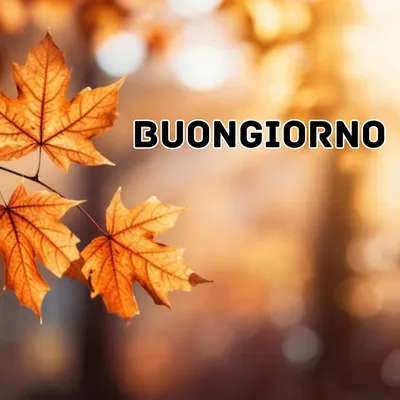 BUONGIORNO Plakat, A3 – studio ciao