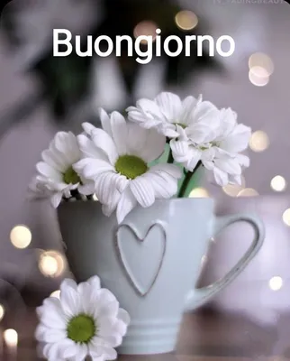 Buongiorno Immagini:Amazon.com:Appstore for Android