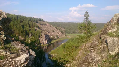 Бурзянский район — Собака Павлова